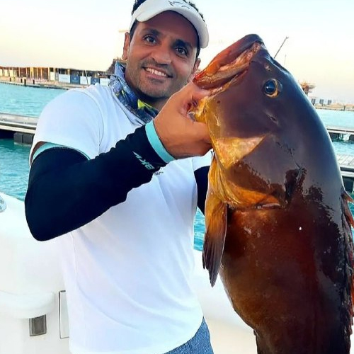 Dusky Grouper