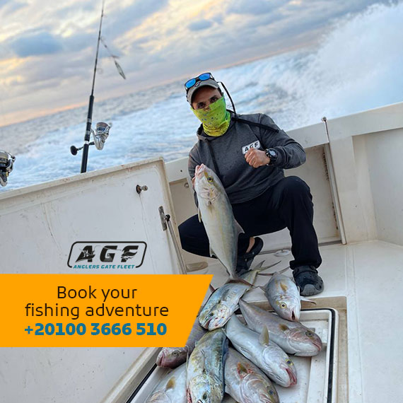 Experience the thrill of reeling in a catch of a lifetime with us! 